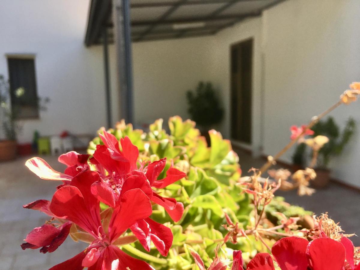 Appartamento I Tramonti Di Cofano Castelluzzo Exterior foto