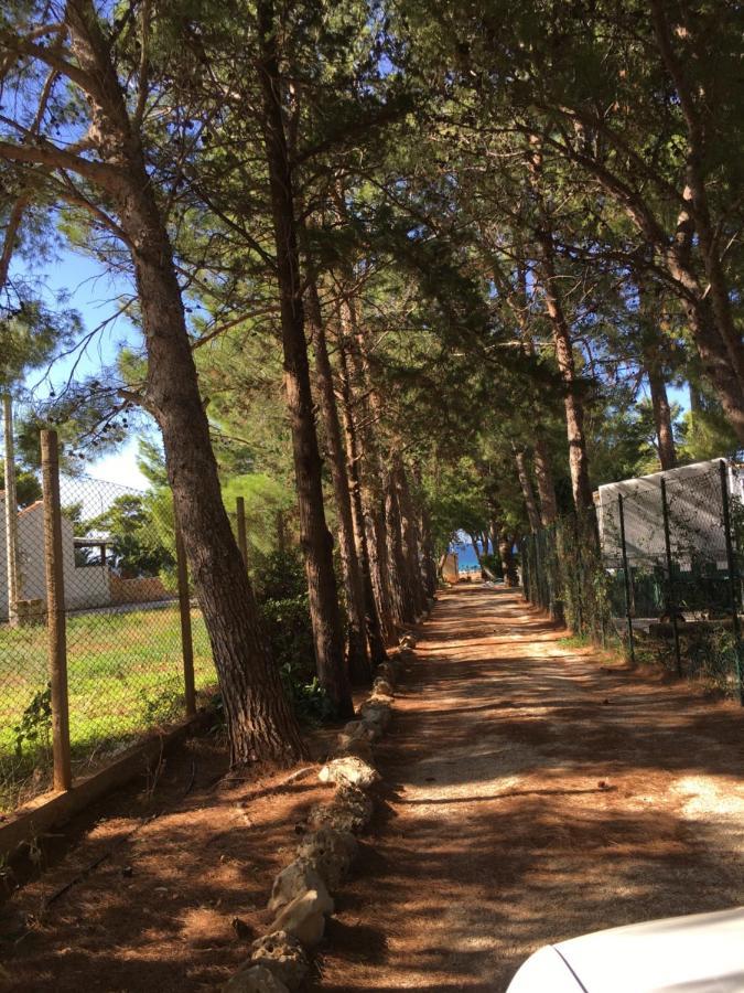 Appartamento I Tramonti Di Cofano Castelluzzo Exterior foto
