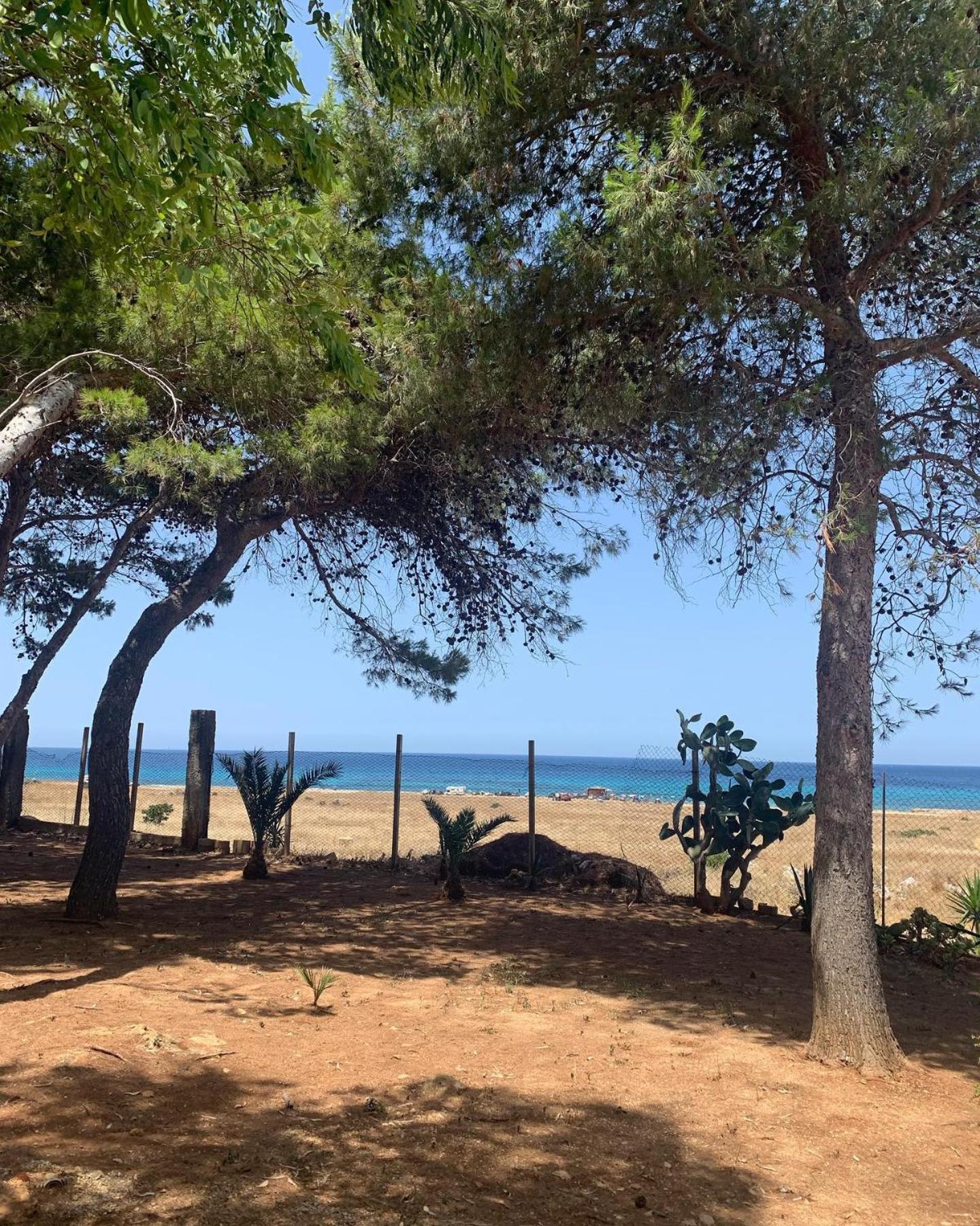 Appartamento I Tramonti Di Cofano Castelluzzo Exterior foto